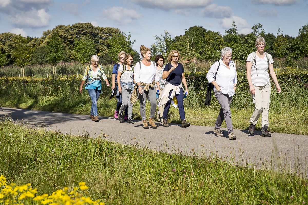 Inschrijven CZ TTM Wandeltocht